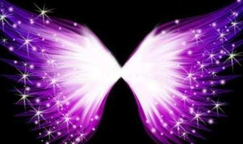 十二星座专属梦幻翅膀摩羯座唯美大气巨蟹座像彩虹