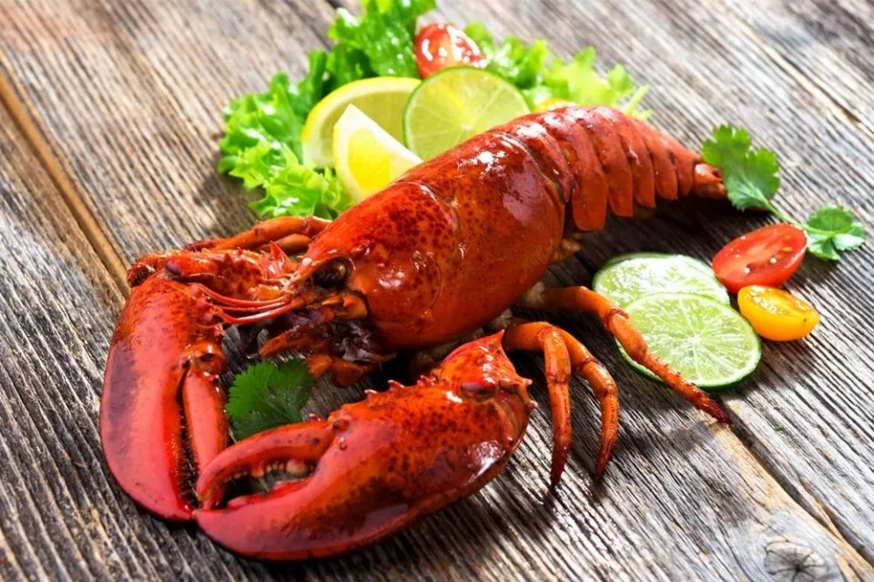 龙虾头里墨绿色的东西到底是啥能吃吗