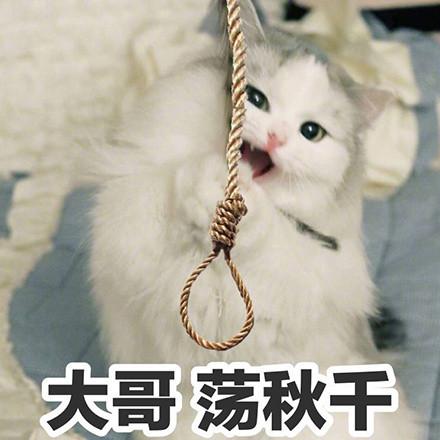 男朋友和女朋友吵架的表情包你这个无情无义又无理取闹的女人