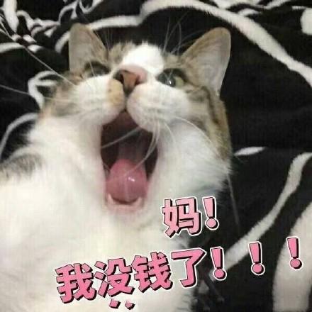 搞笑图片别人都是用香奈儿包lv包宝格丽包而我用表情包