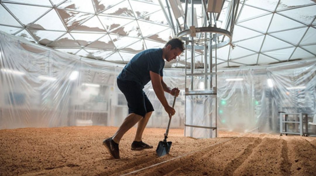 中国人马上在月亮上种菜了|月球|中国人|月亮_新浪新闻