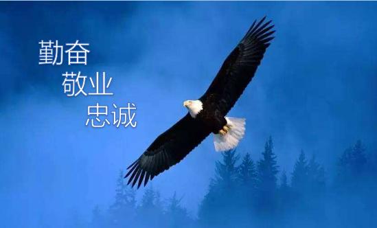 每个人都会有自己的理想和事业,然而理想怎样实现,事业又如何成功呢?