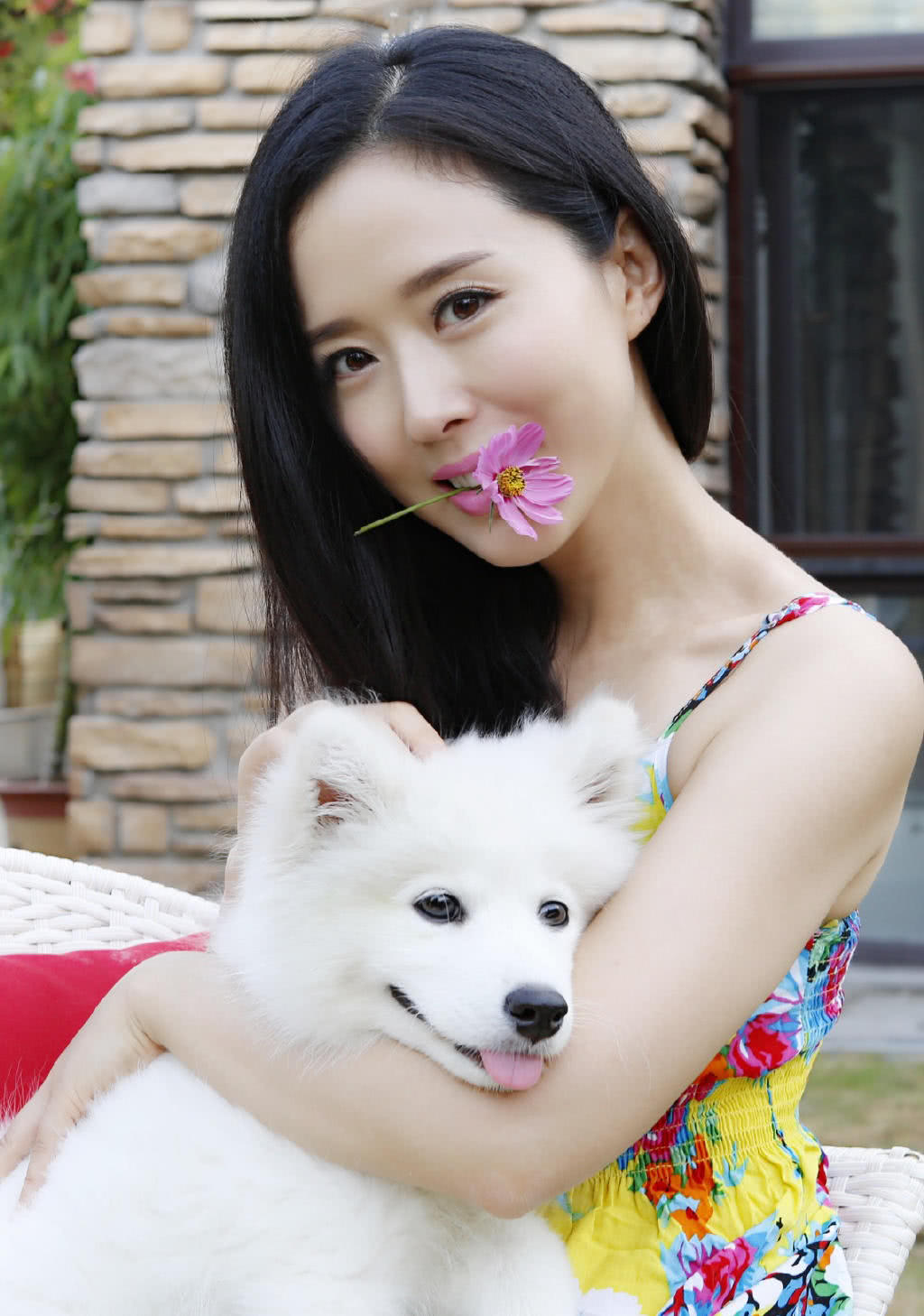 最美嫦娥姐姐太俏皮嬉戏小萨摩耶超萌化40岁颜丹晨颜值在线