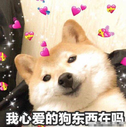 搞笑图片:适合调戏男朋友的表情包14张|狗东西|我爱你|亲亲我_新浪