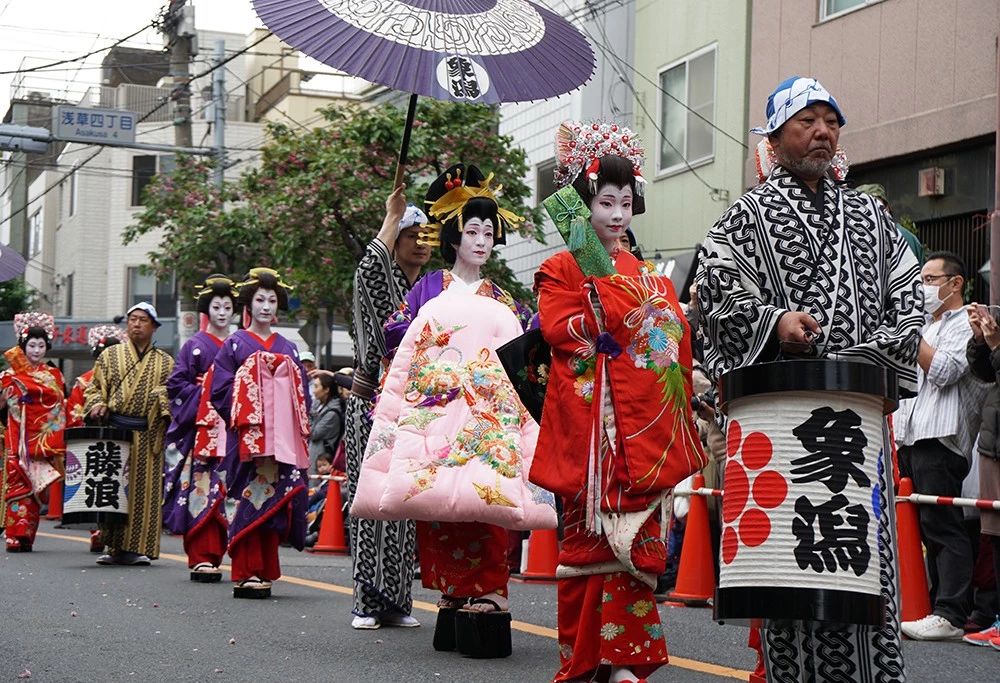 新浪看点一个关于日本“花魁”的故事