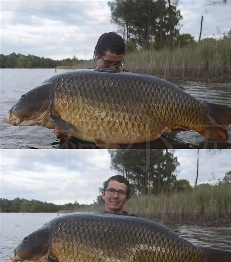 男子在河中捕获"超大鲤鱼王",看清它的嘴巴后,不禁颤了一颤!|鲤鱼|嘴