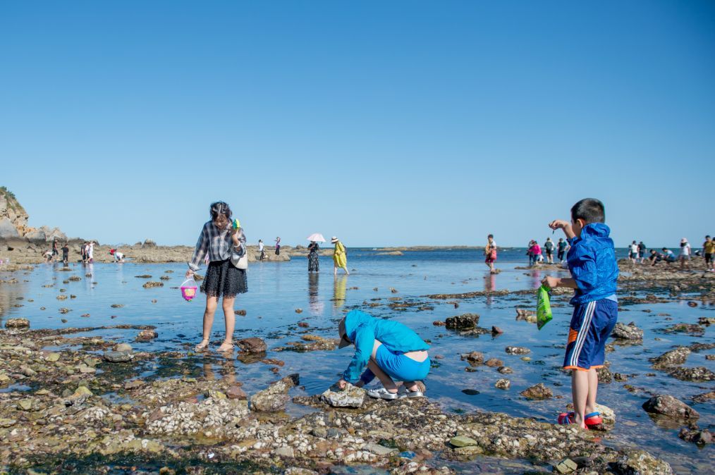 到大连旅游还能这么玩,跟当地人一起赶海,趁潮水退去收获鱼虾