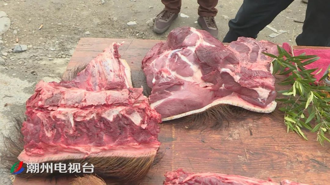 潮州一路口当街售卖野生山猪肉,摊贩违法售卖被查处