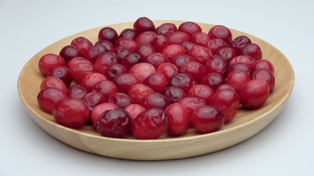 被称为北美红宝石的蔓越莓它的鲜果你吃过吗