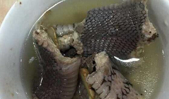 这种食物,很多人见了撒腿就跑,广东人却最爱吃,你知道是什么吗|蛇肉