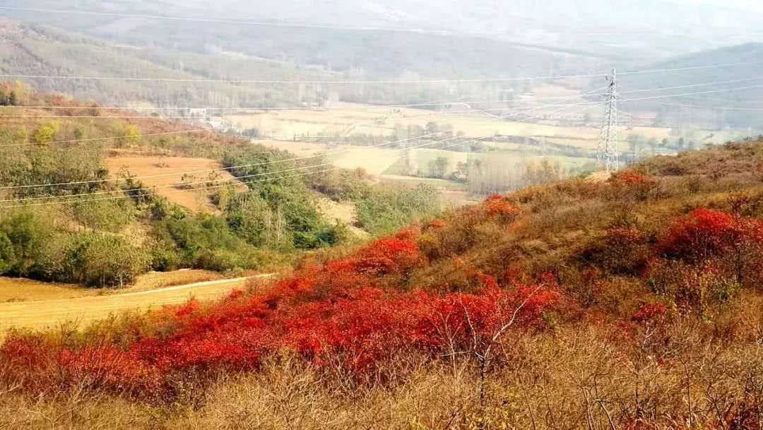 null感受那放空心扉的释然null站在千年岭山巅看风吹林动红叶漫山,层