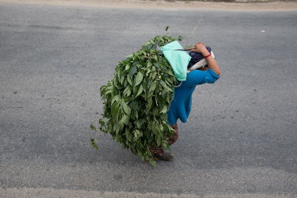 用额头背东西,一次就百八十斤,尼泊尔人这种搬运方式实在奇葩