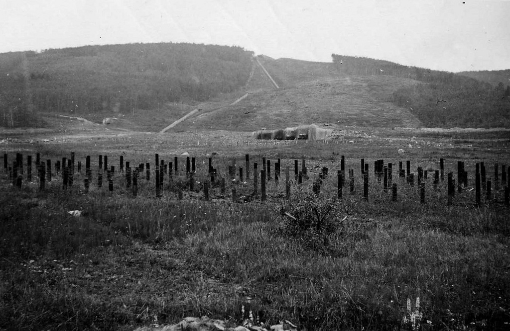 固若金汤的马奇诺防线被迂回攻陷后德军纷纷前来围观