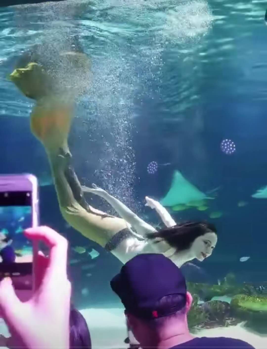 人鱼鲨鱼群里游泳,以水画爱心惊艳众人,网友:有钱我也要养一条