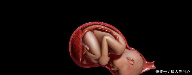 产道看见胎儿头能看到图片