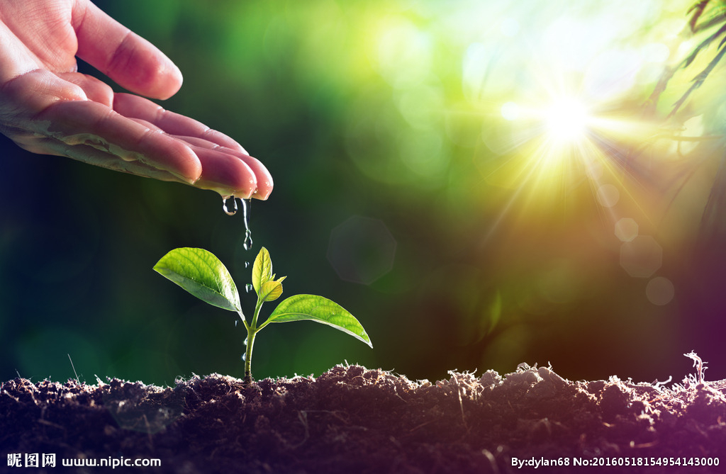 小学生怎样写好关于想象的作文