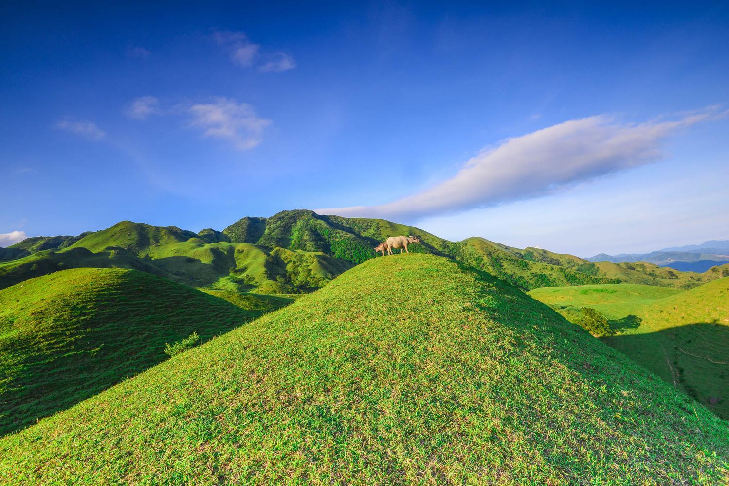 广东这个小县城四季如春,被称为"小昆明,小桂林"|凌霄岩|小桂林|阳春
