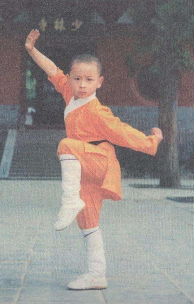 霍元甲翻拍释小龙演的陈真能超越李小龙梁小龙甄子丹吗