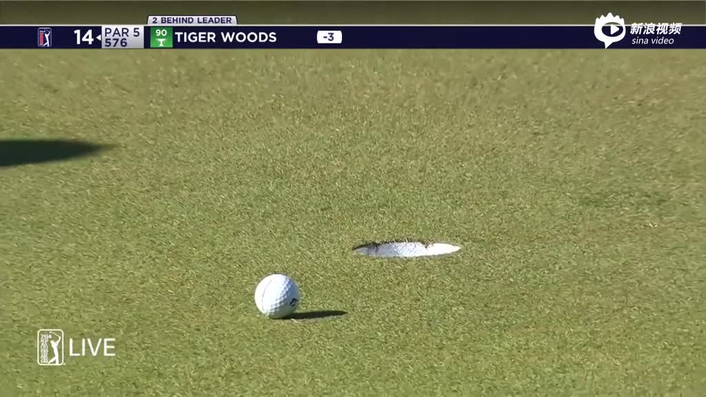 伍兹威士伯赛第二轮集锦