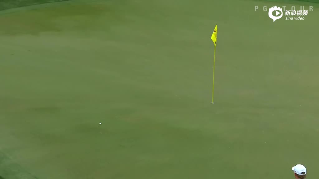 最佳球：老虎神切抓鸟