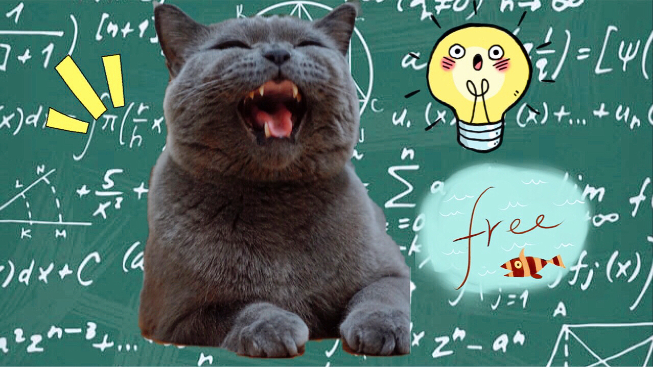 看到好多可爱的猫咪跳舞视频,跟毛弟一起试了一下 喵星人激萌就宠你