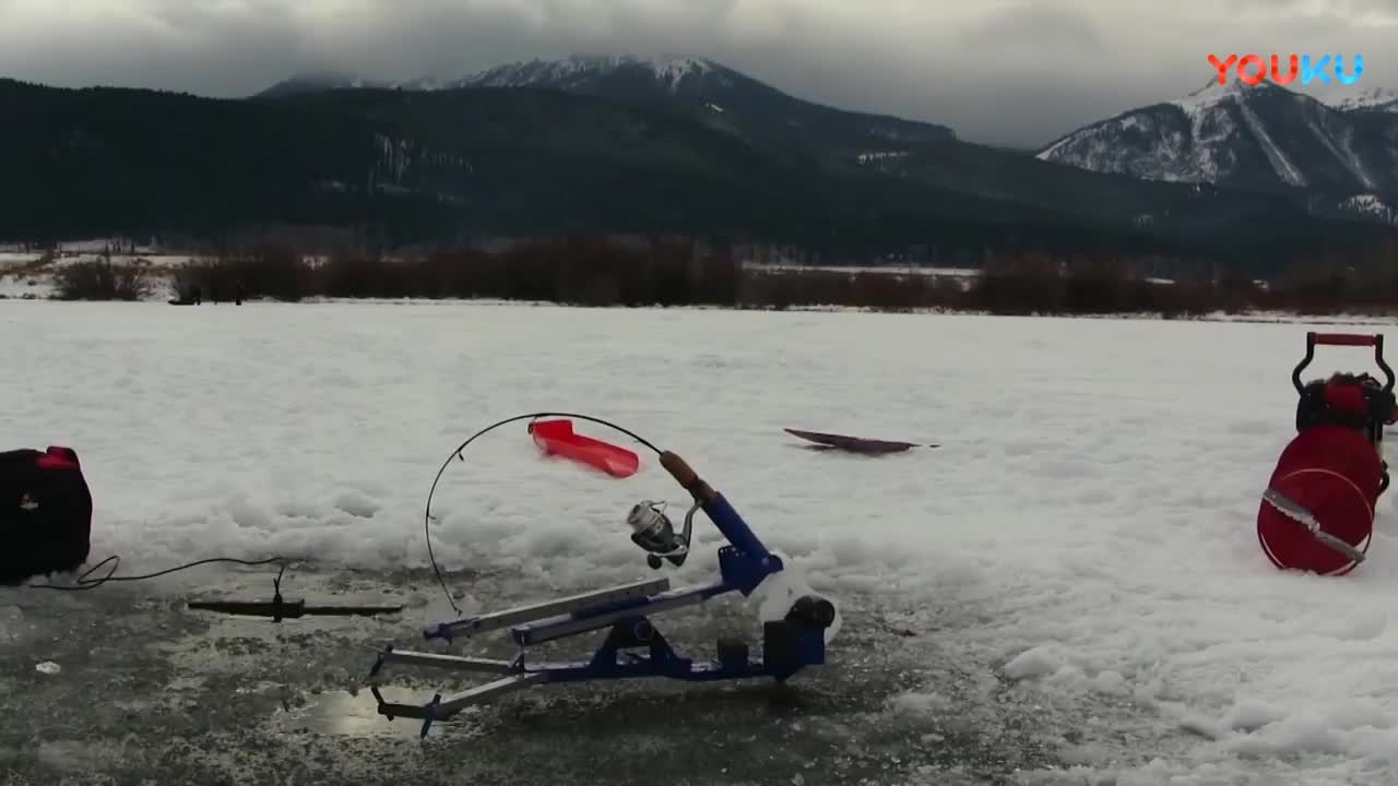 钓鱼这个冰钓设备，自动逗鱼自动刺鱼_手机新浪网