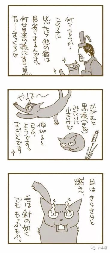 天皇为猫请保姆 日本人 猫奴 史要从祖宗说起 手机新浪网