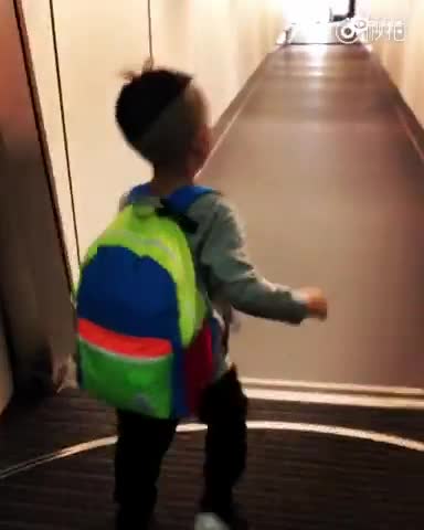 应采儿晒Jasper新发型