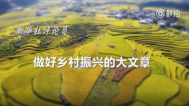 新华社评论员：做好乡村振兴的大文章