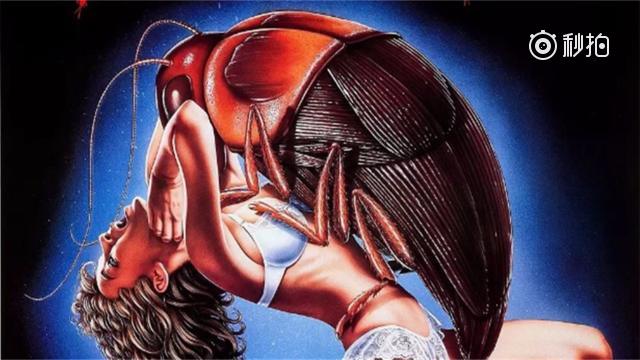 女主家也遭到大量变异蟑螂袭击,窗户门缝马桶水龙头里全是蟑螂,简直无