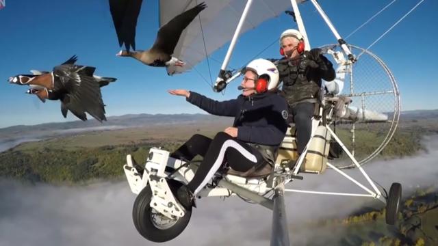 一家外国人驾驶滑翔机和大雁同飞,感动百万网友为其点赞