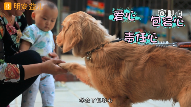 养小动物对宝宝性格发育有好处~很多人都以为有婴幼儿的家庭不适合养小动物...|婴幼儿|宝宝|小动物|发育|性格_新浪新闻