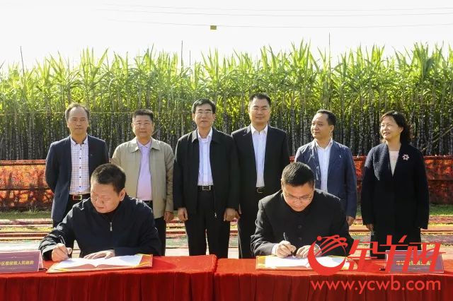 获评唯一广州市文明镇,南沙区榄核镇厚积薄发!