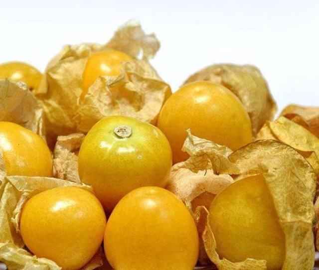 姑娘果又叫锦灯笼,为茄科植物多年生草本,有清热解毒,镇咳润喉利尿的