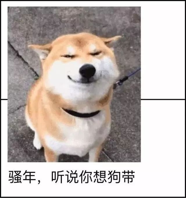 前方高能当网络流行语遇上重庆话