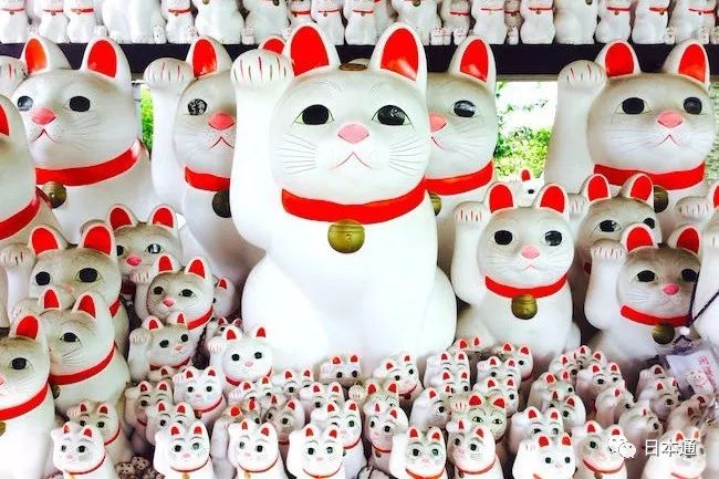 天皇为猫请保姆 日本人 猫奴 史要从祖宗说起 手机新浪网 天皇为猫请保姆 日本人 猫奴 史要从祖宗说起 手机新浪网