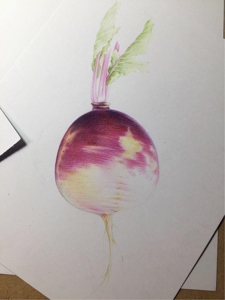 萝卜彩铅手绘教程