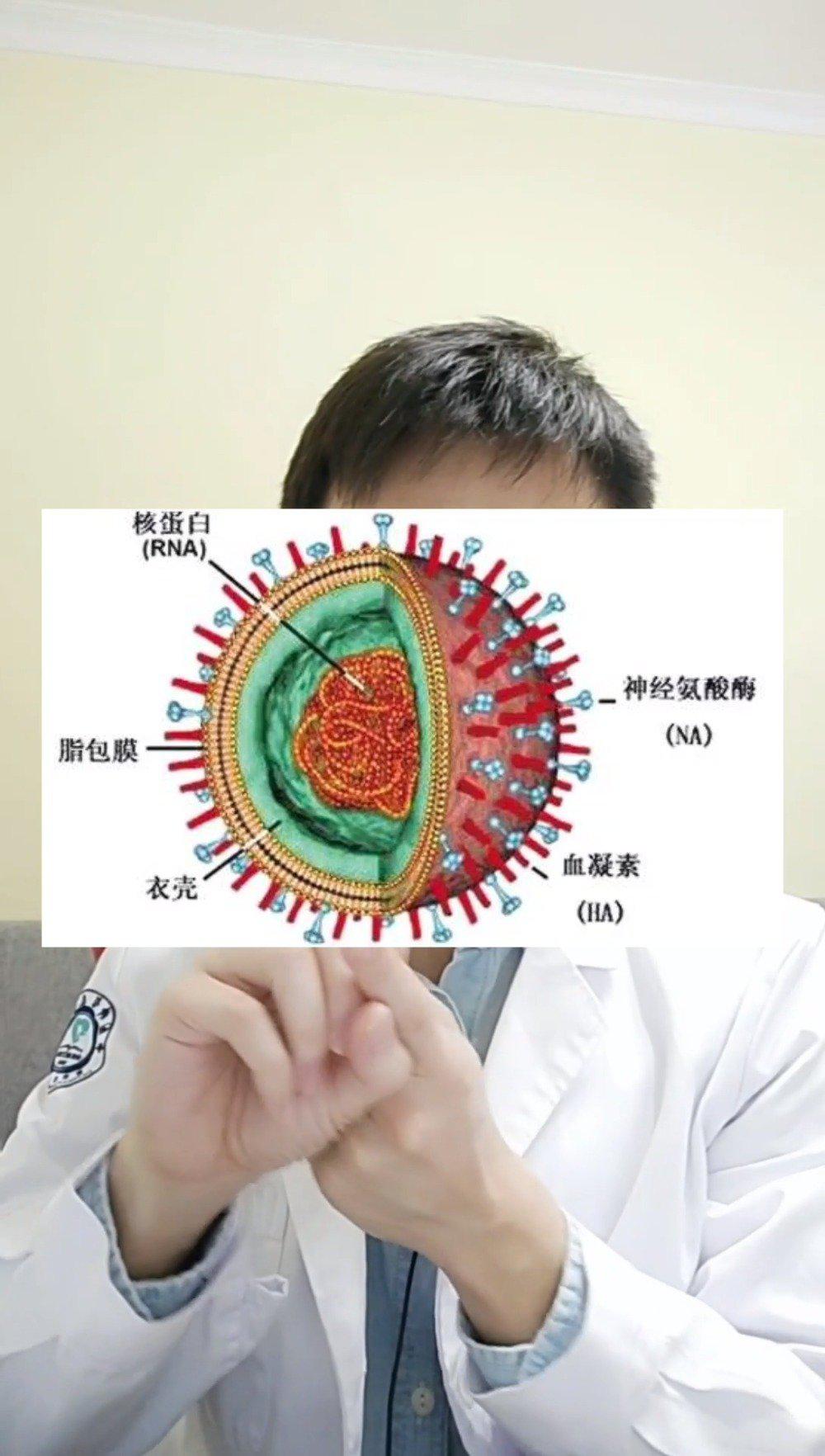 新型冠状病毒突变成l型和s型,代表了什么