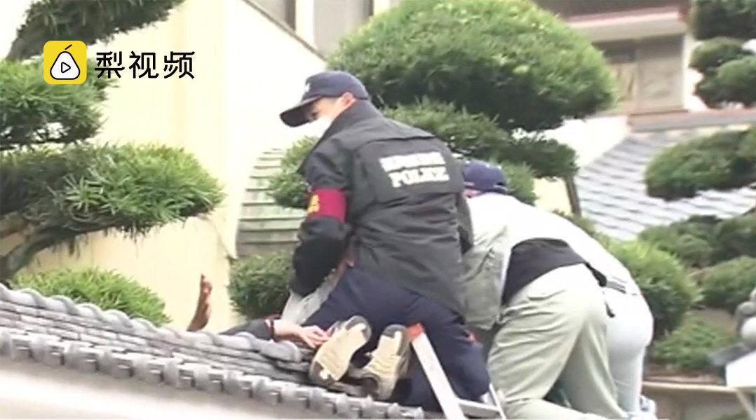 微博搜索 微博搜索
