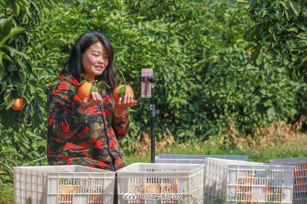 遂宁90后女孩直播"卖水果" 助农脱贫增收