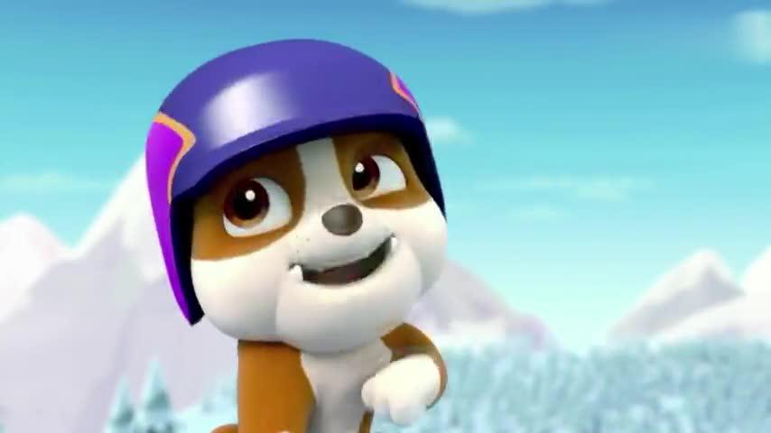 汪汪队:小砾好可爱,别人都去救援,就小砾连装备都没有