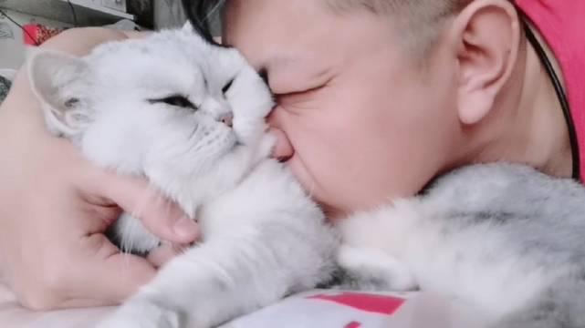 日常吸一口大猫咪