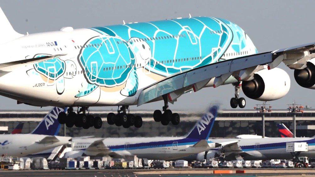 掷地有声慢动作拍摄全日空蓝色海龟a380降落