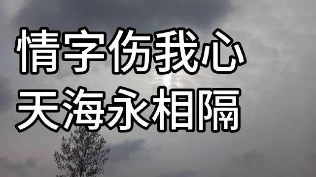 情字伤我心,爱恨殇泪骨.胡死不归,天海长隔《宇清的诗词歌赋》节选
