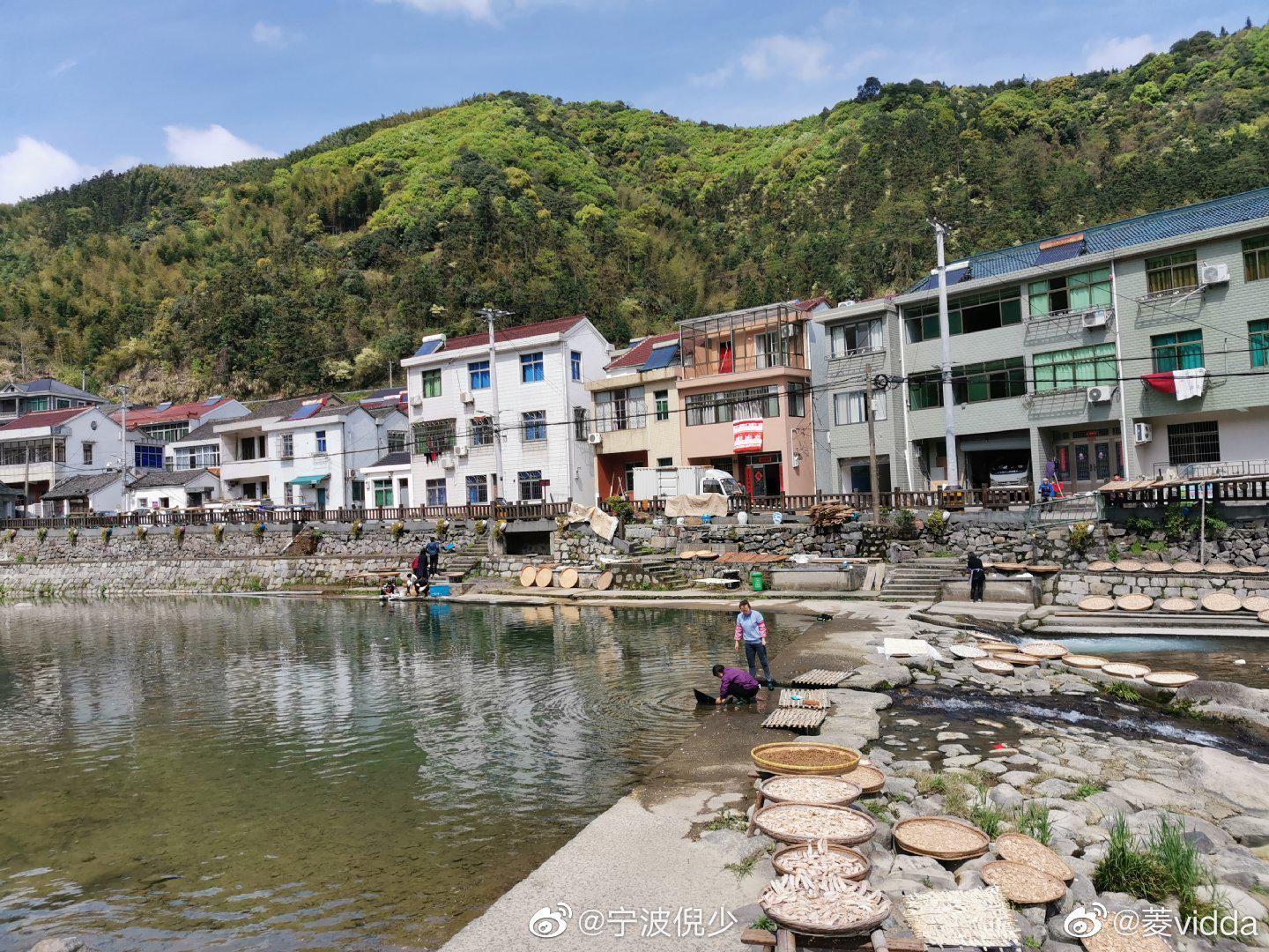 菱vidda 投稿:芝林村