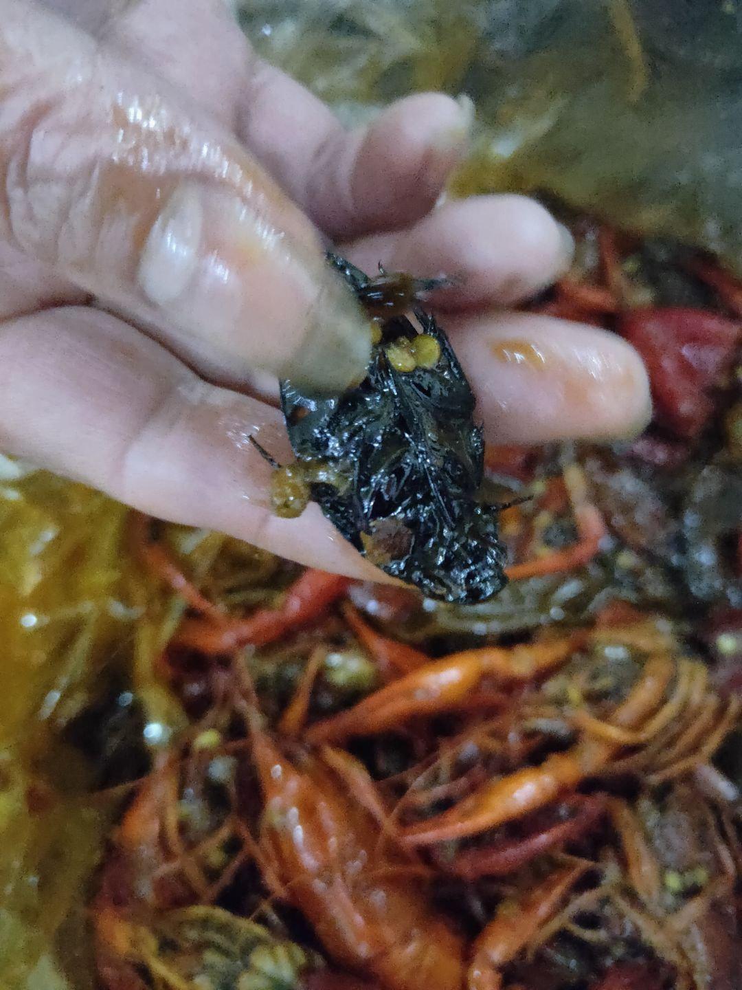 网友:打包的小龙虾里面吃出个黑色大虫子?