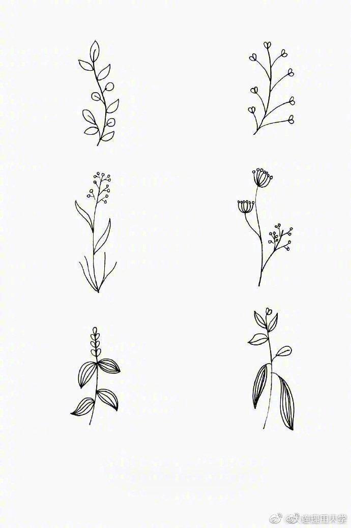 一组干净的叶子简笔画快收藏吧67实用干货
