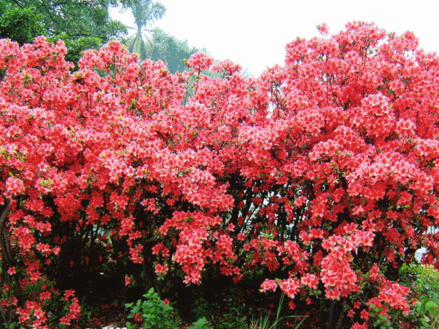 640_480gif 动态图 动图