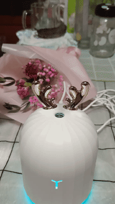 小鹿加濕器開箱_新浪眾測