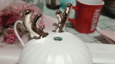 小鹿加濕器開箱_新浪眾測